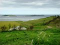 DSC02674