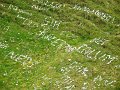 DSC02775