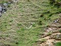 DSC02776