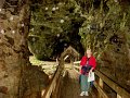 DSC02790