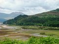 DSC02975