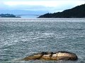 DSC03101