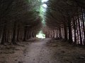 DSC03156