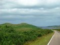 DSC03230