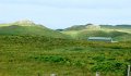 DSC03241