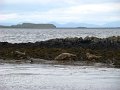 DSC03379