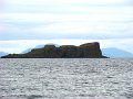 DSC03382