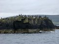 DSC03393