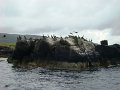 DSC03394