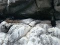 DSC03413