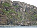 DSC03440