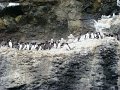DSC03469