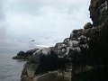 DSC03471