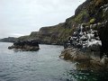 DSC03474