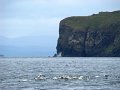 DSC03507