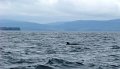 DSC03512b