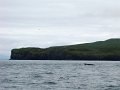 DSC03523b