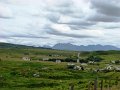 DSC03631