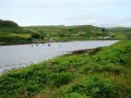 DSC03640