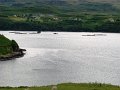 DSC03647