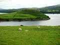 DSC03652