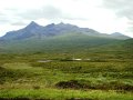 DSC03680
