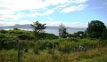 DSC03770