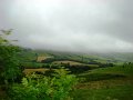 DSC05989