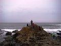 DSC06554