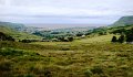 DSC07111
