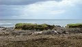 DSC07407