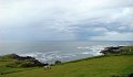 DSC07421