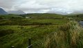 DSC07518