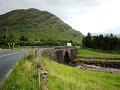 DSC07534