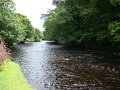 DSC07591