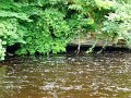 DSC07595