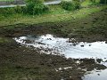 DSC07635