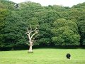 DSC07892
