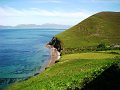 DSC08052