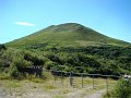 DSC08069