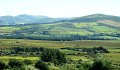 DSC08086