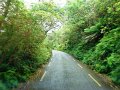 DSC08222