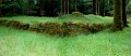 Cork03