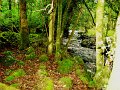 DSC08309
