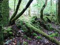 DSC08311