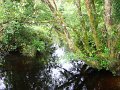 DSC08317