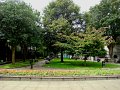 DSC08399
