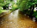DSC08414