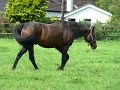 DSC08648