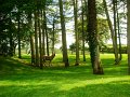 DSC08680